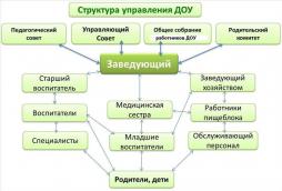 Структура, порядок формирования, срок полномочий и компетенция органов управления образовательной организацией, порядок принятия ими решений и выступления от имени образовательной организации устанавливаются в соответствии с законодательством Российской Федерации.